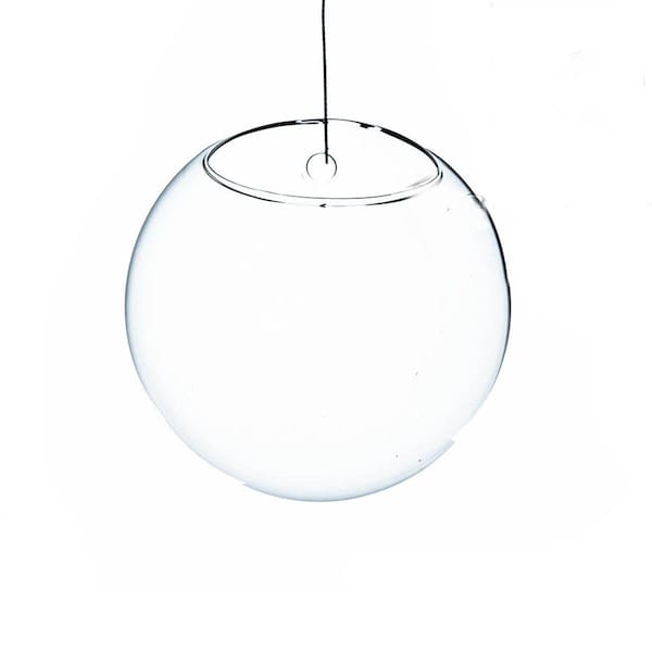 Vista 6 in Dia Clear HalfRound Wall Hanging Terrarium Vase VI1852121 - main